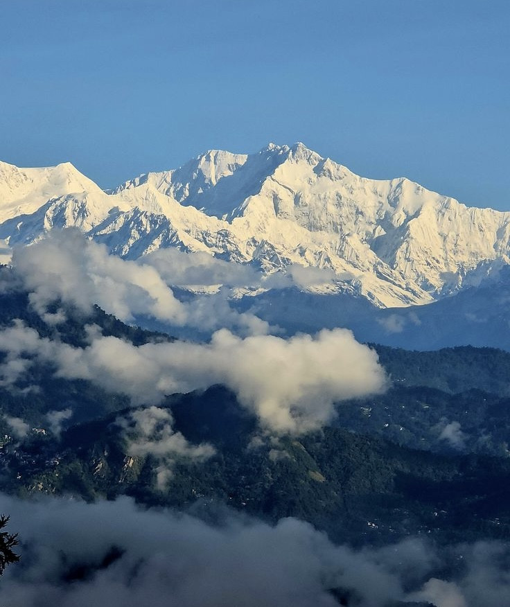 The Story Behind Sikkim Matrimony: A Dream Started by Two Women from Sikkim